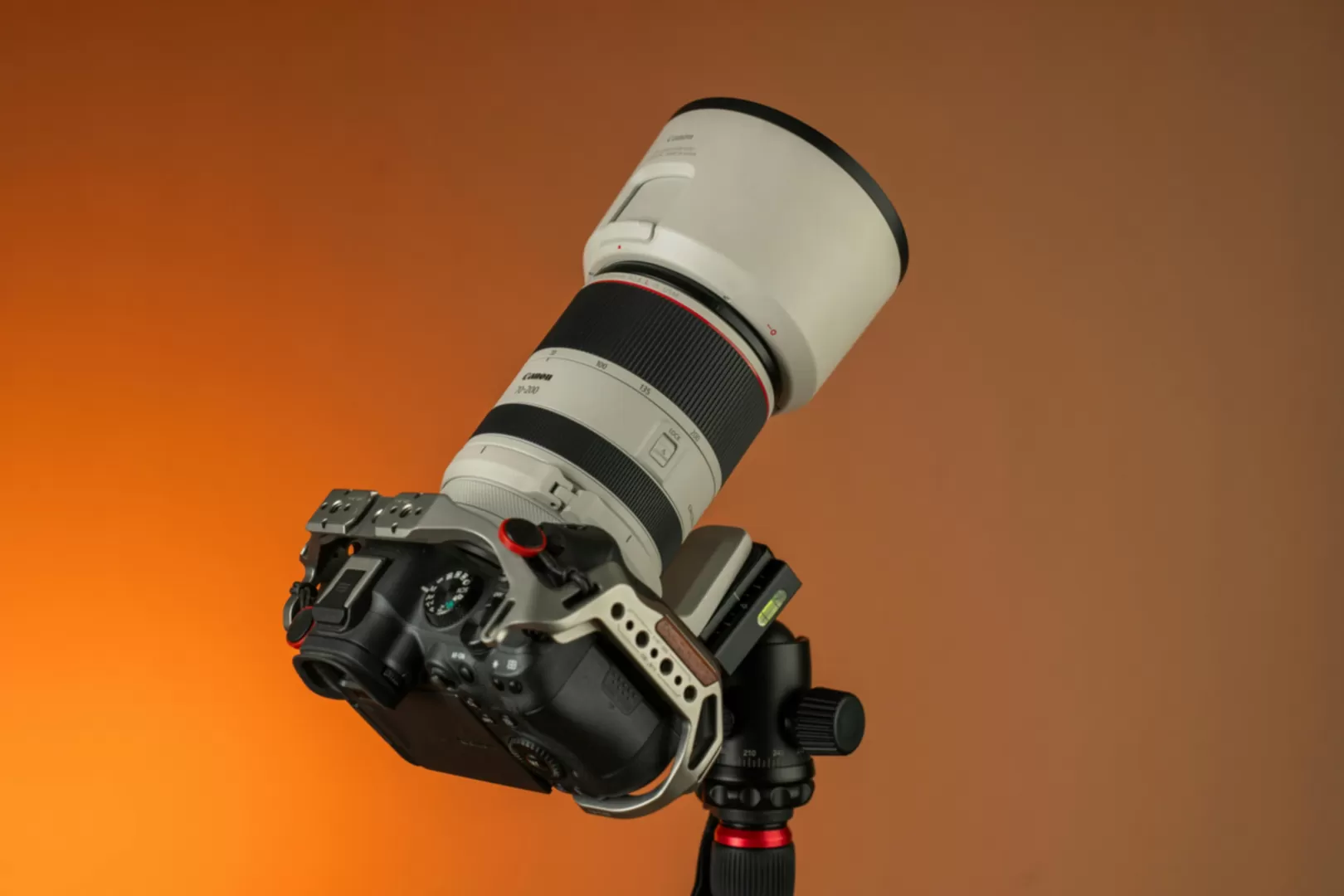 Capturing the Untamed: Safari Photography Essentials