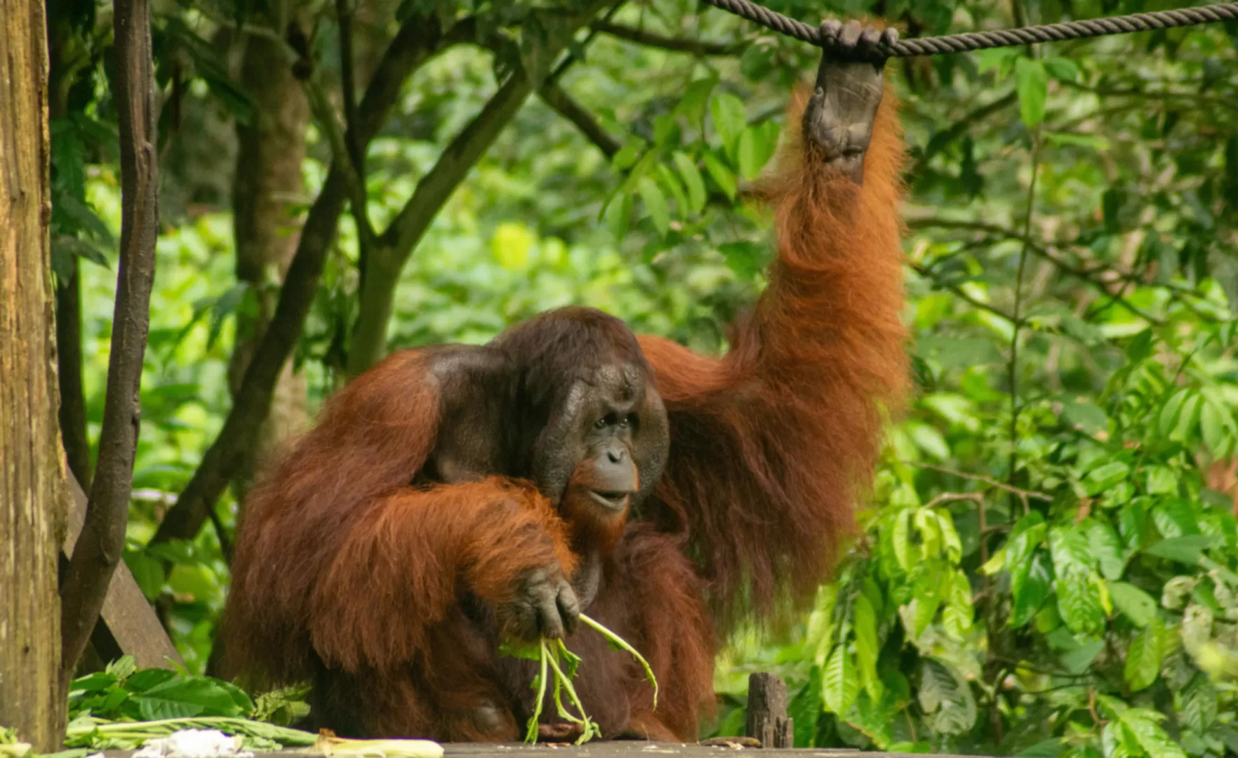 Top 5 Lesser-Known Wildlife Destinations for Photographers