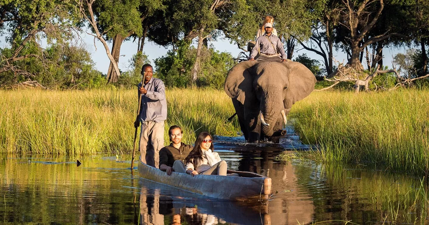 Botswana Wildlife Photography Tours — Chobe & Okavango